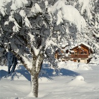  Snow